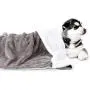 Pettom Waterproof Blanket Dog Mat Pet Liquid Pee Proof Blanket for Bed Couch Sofa Cat Bed Protector Cover for Baby Cozy Sherpa Lining Throws for Chairs Car Camping Boating 60x50in Pettom Waterproof Blanket Dog Mat Pet Liquid Pee Proof Blanket for Bed Couch Sofa Cat Bed Protector Cover for Baby Cozy Sherpa Lining Throws for Chairs Car Camping Boating 60x50in