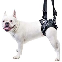 Lift Rear Dog Support Harness | Helps Dogs with Arthritis, Weakness, Joint Injuries Rehab | Adjustable Handles