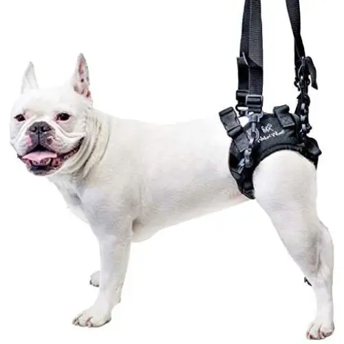 Lift Rear Dog Support Harness | Helps Dogs with Arthritis, Weakness, Joint Injuries Rehab | Adjustable Handles Lift Rear Dog Support Harness | Helps Dogs with Arthritis, Weakness, Joint Injuries Rehab | Adjustable Handles