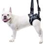 Lift Rear Dog Support Harness | Helps Dogs with Arthritis, Weakness, Joint Injuries Rehab | Adjustable Handles