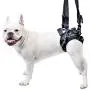 Lift Rear Dog Support Harness | Helps Dogs with Arthritis, Weakness, Joint Injuries Rehab | Adjustable Handles Lift Rear Dog Support Harness | Helps Dogs with Arthritis, Weakness, Joint Injuries Rehab | Adjustable Handles