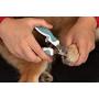 Paws & Pals Dog Nail Clipper Trimmer Scissors for Large or Small Cats and Pets –Stainless Steel Trimming Grooming Tool with Safety Latch & Non-Slip Grip for Home & Professional Use