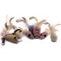 JKYP Pet Cat Stick 7-Piece Set Cat Toys Tease Cat Set Small Fish Wooden Rod Mouse Tease Cat Stick Cat Toy