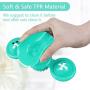 pawstrip Windmill Cat Toy, Pet Interactive Training Teasing Toys, Catnip Turntable Cat Toothbrush Interactive Cat Toy with Suction Cup and Light Balls