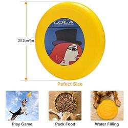 Pet Frisbee Flying Disc Dog Toy - Multifunction Lola 1967 Polish A1 Film Poster_1024x1024