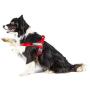 Julius-K9 IDC Innova Dog Comfort Red Belt Harness