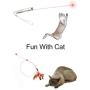 NXWL Indoor and Outdoor Kitten Training