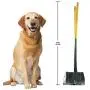Four Paws Dog Rake & Scooper Set for Pet Waste Pick-up Large, 9.5'' x 10'' x 38''