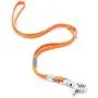 CLCK Pet Dog Grooming Loops - Nylon Restraint Noose Adjustable Fixed Dog Cat Safety Rope for Pet Grooming Table Bathtub Dog Bathing Supplies - 22 inches CLCK Pet Dog Grooming Loops - Nylon Restraint Noose Adjustable Fixed Dog Cat Safety Rope for Pet Grooming Table Bathtub Dog Bathing Supplies - 22 inches
