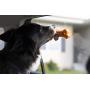 Bath Bones | Anxiety Bone Slow Feeder | Food Grade Material | Combats Dog’s Anxiety During Stressful Events | Great for Peanut Butter, Yogurt, Coconut Spread and More!