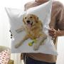 HouseLook Golden Retriever Cushion Cover Decorative Pet Dog Laying Down with Toy Friendly Domestic Puppy Playful Companion Soft Cushion Covers with Hidden Zipper Multicolor (18''x18'')