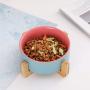 LIONWEI LIONWELI Ceramic Cat Dog Bowl Dish with Wood Stand No Spill Pet Food Water Feeder Cats Small Dogs