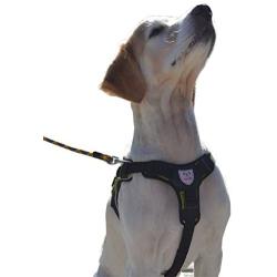 Peak Pooch - Heavy Duty, Reflective, Lightweight, Padded, No-Pull, Pet Dog Harness, Rip Stop Nylon, Tough Stainless Steel Hardware, Ideal for Walking, Running, Outdoor, for Small, Medium, Large Dogs