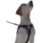 Peak Pooch - Heavy Duty, Reflective, Lightweight, Padded, No-Pull, Pet Dog Harness, Rip Stop Nylon, Tough Stainless Steel Hardware, Ideal for Walking, Running, Outdoor, for Small, Medium, Large Dogs