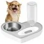 ASENVER Automatic Pet Feeder 2-in-1 Cat Feeding Dispenser Detachable Dog Water Bottle and Food Bowl Heart Shaped ASENVER Automatic Pet Feeder 2-in-1 Cat Feeding Dispenser Detachable Dog Water Bottle and Food Bowl Heart Shaped