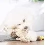 Dog Toy, Dental Health Teeth Cleaning for Small/Medium/Large Sized Dog Biting Toys (Approximately 12 inches) Dog Toy, Dental Health Teeth Cleaning for Small/Medium/Large Sized Dog Biting Toys (Approximately 12 inches)