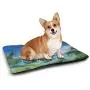 DayDayFun Traditional Cat Mat Old Fashioned Ottoman Arabesque Moroccan Star Antique Middle Motif Insulated Self-Heating Pet Mat Multicolor