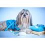 BLINKEEN Dog Brush & Cat Brush for Shedding and Grooming,Pet Slicker Brush for Dogs & Cats with Long or Short Hair
