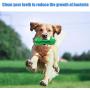 Dog Chew Toys 2020 Upgrade Dog Toys for Aggressive Chewers Large Medium Breed Crocodile Dog Toothbrush Indestructible Outside Interactive Pets Training Toys Tough Dental Chews Teething Cleaning