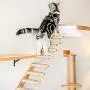 FUKUMARU Cat Hammock Wall Mounted Large Cats Shelf - Modern Beds and Perches - Premium Kitty Furniture for Sleeping, Playing, Climbing, and Lounging - Easily Holds up to 40 lbs FUKUMARU Cat Hammock Wall Mounted Large Cats Shelf - Modern Beds and Perches - Premium Kitty Furniture for Sleeping, Playing, Climbing, and Lounging - Easily Holds up to 40 lbs