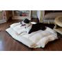 Armarkat Bolstered Pet Bed and Mat, ultra-soft Dog Bed for dogs