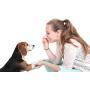MindWare Make Your Own Doggy Day Camp – DIY Activities to do with Your pet! – Kids & Teens Learn Training Basics Used by The pros – 13 pcs