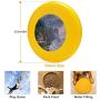 Pet Frisbee Flying Disc Dog Toy - Multifunction Harbor Light Hideaway Michael Humphries