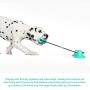 pet jouet Dog Chew Toys with Double Suction Cup, Dog Toys for Aggressive Chewers, Dog Molar Bite Toy, Interactive Ropes Toy for Dog Teeth Cleaning, Tug of War, Puppy Dog Trainng, Kill Boring Time.