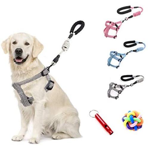 SINCHER Dog Harness No Pull,and Pet Leash Set for -Small, Medium, Large Dogs-Adjustable Soft Comfort, Training Traction Rope,Dog Training Whistle, and Ball Safety and Easy Control Front.