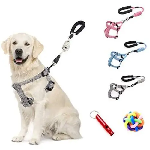 SINCHER Dog Harness No Pull,and Pet Leash Set for -Small, Medium, Large Dogs-Adjustable Soft Comfort, Training Traction Rope,Dog Training Whistle, and Ball Safety and Easy Control Front. SINCHER Dog Harness No Pull,and Pet Leash Set for -Small, Medium, Large Dogs-Adjustable Soft Comfort, Training Traction Rope,Dog Training Whistle, and Ball Safety and Easy Control Front.