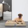Sealy Ultra Plush Dog Bed - Orthopedic Foam pet Bed