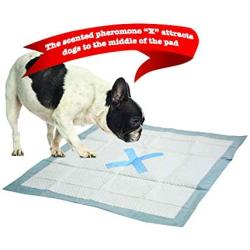 SPOT X Marks The Extra Absorbent Pee Pads | Puppy Pads | Puppy Pads with Adhesive | Training Pads | Dog Pads | Dog Pee Pads | Dog Potty Pads | Adhesive Strips | 22''X22'' | 30 CT