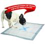SPOT X Marks The Extra Absorbent Pee Pads | Puppy Pads | Puppy Pads with Adhesive | Training Pads | Dog Pads | Dog Pee Pads | Dog Potty Pads | Adhesive Strips | 22''X22'' | 50 CT