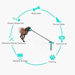 Genetic Los Angeles Dog Stake for Yard, Dog Tie Out Cable with Chew Toy, Great fo Dogs Up to 120 lbs, Great for Dog Camping or The Garden, Suitable for Harness, Leash & Chain Attachments