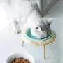LORVOR Ceramic Pet Bowl Cat&Dog Food Water Basic Bowl with Adjustable Elevated Wooden Stand Protect Neck Joints Pet Feeding Bowls Easy to Clean Healthy Eating LORVOR Ceramic Pet Bowl Cat&Dog Food Water Basic Bowl with Adjustable Elevated Wooden Stand Protect Neck Joints Pet Feeding Bowls Easy to Clean Healthy Eating