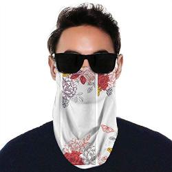 Pig - - s Czech Republic, Face Neck Gaiters ana Scarf wear for Outdoor Sports Pig 11.8 inch x 9.