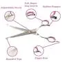 Dog Grooming Scissors Curved 7 Inch Stainless Steel with Safety Round Tips Professional Pet Grooming Shears for Dogs and Cats Dog Grooming Scissors Curved 7 Inch Stainless Steel with Safety Round Tips Professional Pet Grooming Shears for Dogs and Cats