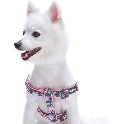 Blueberry Pet 7 Patterns Soft & Comfy Flower Print Neoprene Padded Dog Harnesses