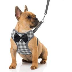 RYPET Small Dog Harness and Leash Set - No Pull Pet Harness with Soft Mesh Nylon Vest for Small Dogs and Cats