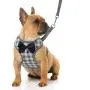 RYPET Small Dog Harness and Leash Set - No Pull Pet Harness with Soft Mesh Nylon Vest for Small Dogs and Cats