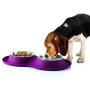 Pet Parade Dual Bowl Silicone Mat-Mess - Free Feeding Bowl for Cats & Dogs - Non-Skid Silicone Base - Machine Washable Stainless Steel Bowls - Available in 5 oz. or 12 oz. Bowls