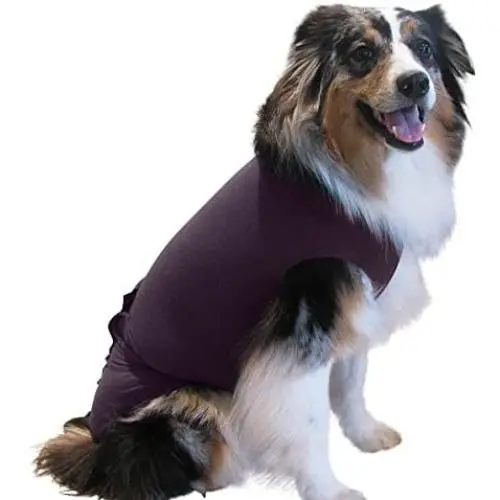 Surgi~Snuggly Disposable Dog Diapers Keeper - for Male and Female Dogs - Wrap Around Legs for Superior Fit - Fits (PL-SL-DK) Surgi~Snuggly Disposable Dog Diapers Keeper - for Male and Female Dogs - Wrap Around Legs for Superior Fit - Fits (PL-SL-DK)