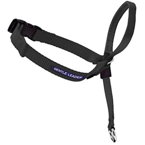 PetSafe Gentle Leader Headcollar, No-Pull Dog Collar – Perfect for Leash & Harness Training – Stops Pets from Pulling and Choking on Walks – Works with Small, Medium and Large Dogs