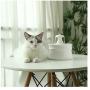 Ceramic Cat Water Fountain, Silent&Anti-Dry Protection&Water Circulation Automatic Water Dispenser for Cats Dogs (1.2L)