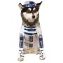 Star Wars R2-D2 Pet Costume