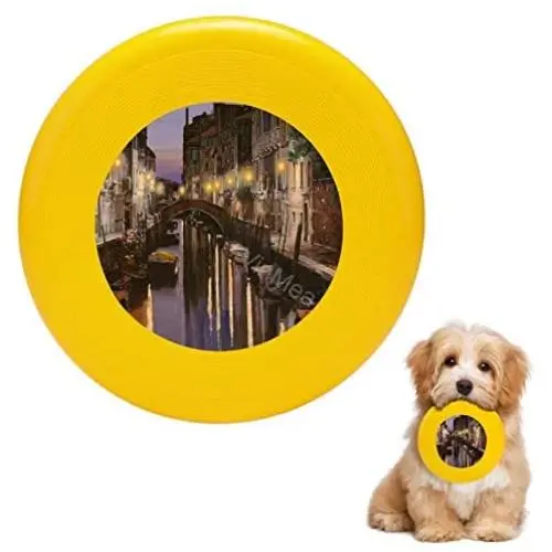 Pet Frisbee Flying Disc Dog Toy - Multifunction Venezia Al Crepuscolo Guido Borelli