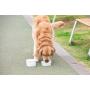 Glad for Pets Disposable Feeding Bowls | Large Disposable Dog Bowls in Gray Pattern | 3.5 Cup Feeding Size, 25 Count - Dog Bowls are Great for Dry and Wet Dog Food or Water