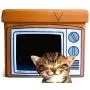 Feline Ruff TV Indoor Cat House Ottoman. A Sturdy Couch Paw-tato Cat Cube Bed with Cushion. Covered Pet Bed Hideaway Cave for Dogs and Other Pets Too. Feline Ruff TV Indoor Cat House Ottoman. A Sturdy Couch Paw-tato Cat Cube Bed with Cushion. Covered Pet Bed Hideaway Cave for Dogs and Other Pets Too.