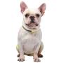 A-SAFETY Dog Reflective Vest, Hi Vis Safety Vest Keeps Dogs Visible On and Off Leash in Both Urban and Rural Environments Yellow,Orange(7.8/9.8/11.8/13.7/15.7/17.7 inches)