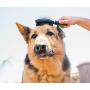 Pet Magasin Grooming Brushes & Pet Magasin Dog Bed Bundle